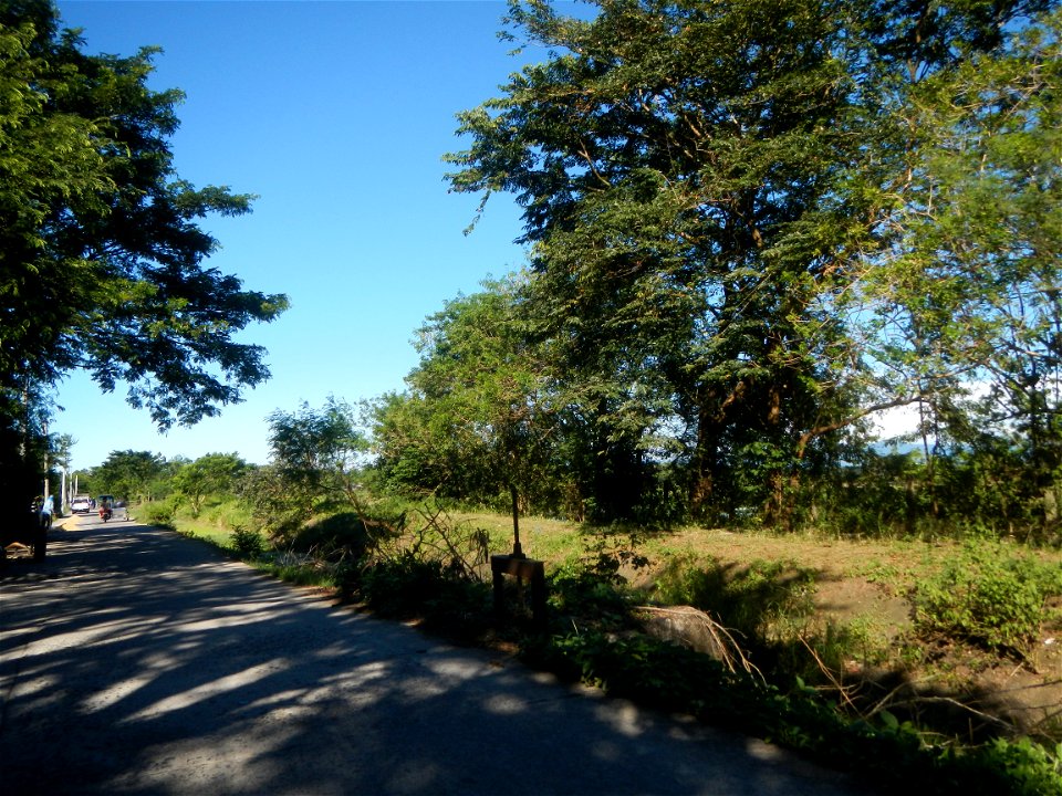 Paddy fields, grasslands, fishponds, irrigation canals, Kangkung (Ipomoea aquatica) and trees (Lapnit & Calasag, San Ildefonso, Bulacan Farm to Market Road) Villages and sitios of Calasag, San Ild