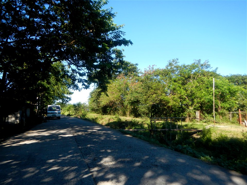 Paddy fields, grasslands, fishponds, irrigation canals, Kangkung (Ipomoea aquatica) and trees (Lapnit & Calasag, San Ildefonso, Bulacan Farm to Market Road) Villages and sitios of Calasag, San Ild