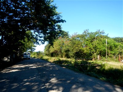 Paddy fields, grasslands, fishponds, irrigation canals, Kangkung (Ipomoea aquatica) and trees (Lapnit & Calasag, San Ildefonso, Bulacan Farm to Market Road) Villages and sitios of Calasag, San Ild photo