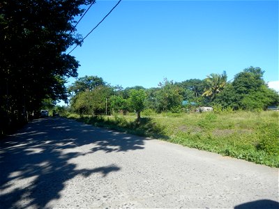 Paddy fields, grasslands, fishponds, irrigation canals, Kangkung (Ipomoea aquatica) and trees (Lapnit & Calasag, San Ildefonso, Bulacan Farm to Market Road) Villages and sitios of Calasag, San Ild photo