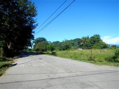 Paddy fields, grasslands, fishponds, irrigation canals, Kangkung (Ipomoea aquatica) and trees (Lapnit & Calasag, San Ildefonso, Bulacan Farm to Market Road) Villages and sitios of Calasag, San Ild