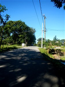 Paddy fields, grasslands, fishponds, irrigation canals, Kangkung (Ipomoea aquatica) and trees (Lapnit & Calasag, San Ildefonso, Bulacan Farm to Market Road) Villages and sitios of Calasag, San Ild