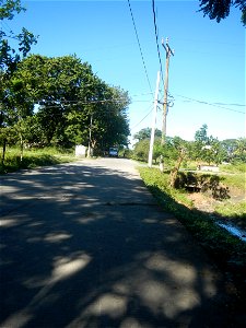 Paddy fields, grasslands, fishponds, irrigation canals, Kangkung (Ipomoea aquatica) and trees (Lapnit & Calasag, San Ildefonso, Bulacan Farm to Market Road) Villages and sitios of Calasag, San Ild photo