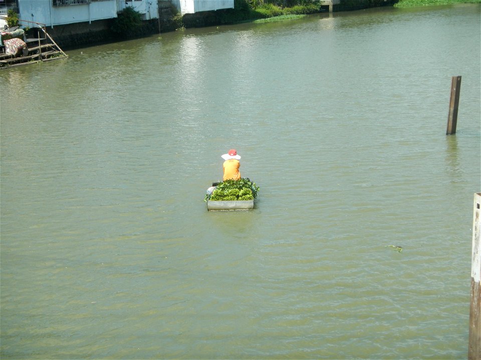 Wawa Poblacion Balagtas