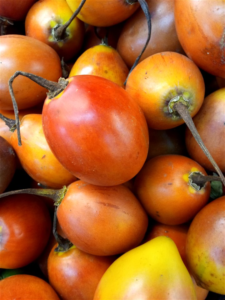Tomate de palo producido en Venezuela.