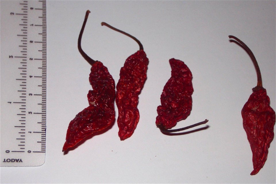 Peperoncini Bhut Jolokia
