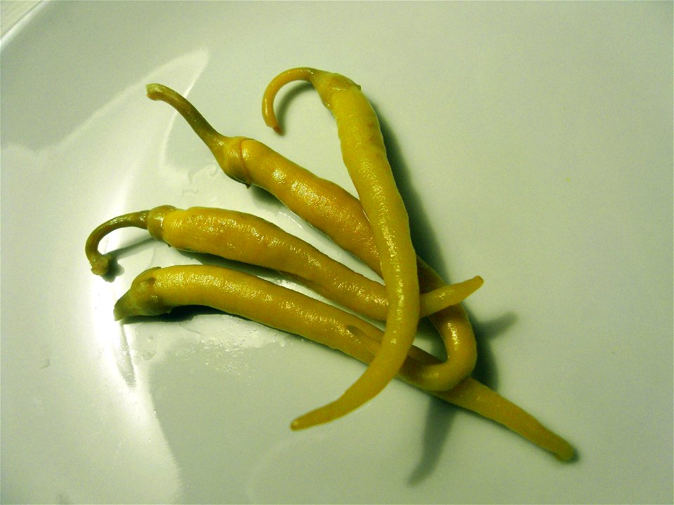 Chili peppers from Ibarra (Guipuscoa, Basque Country)