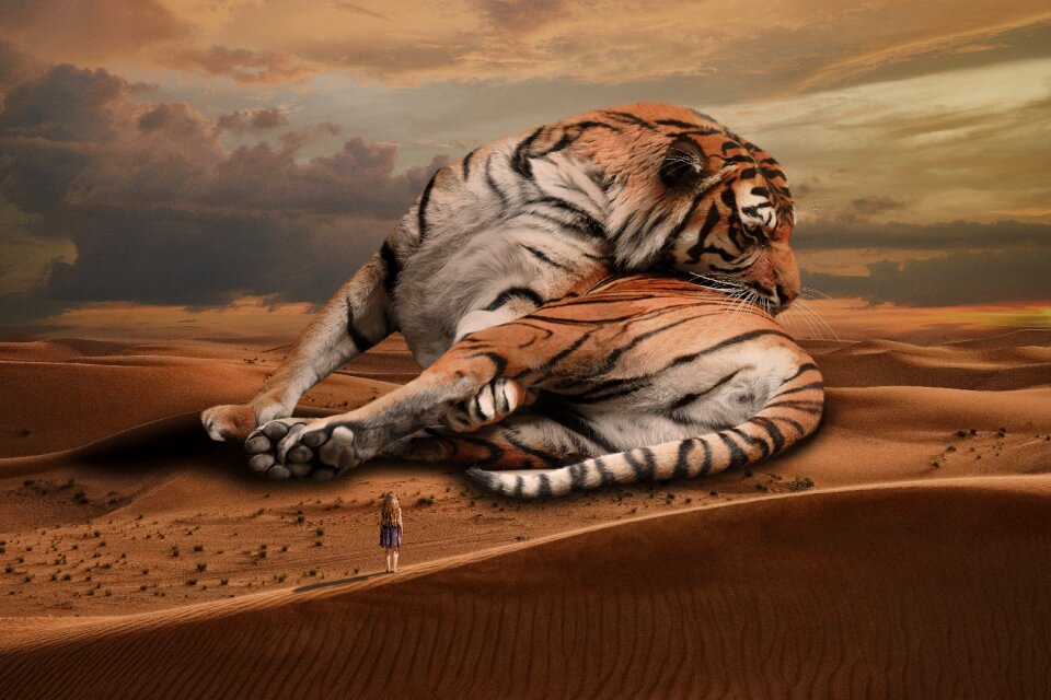Wild mammal predator