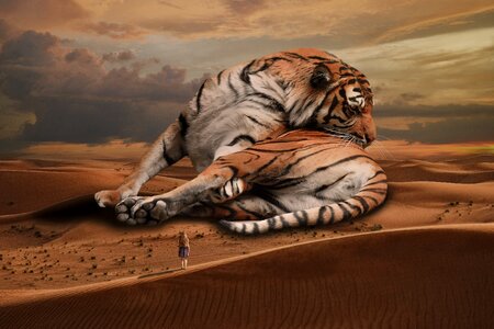Wild mammal predator