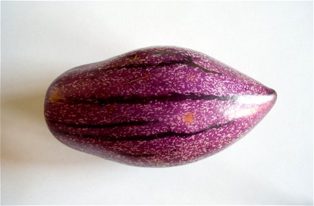 (Solanum muricatum)