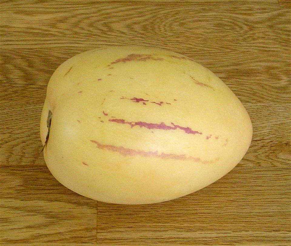 A Pepino.

Photo by User:Thue on 27/5-2005.