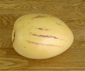 A Pepino.

Photo by User:Thue on 27/5-2005.