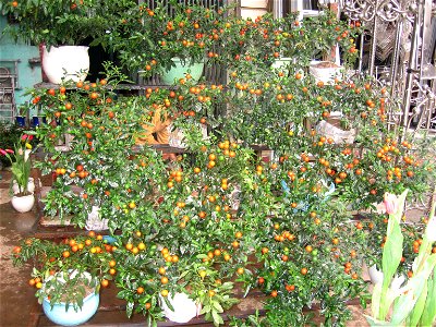 Hình do người truyền lên chụp.