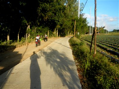 Paddy fields and vegetable (Capsicum annuum var. longum, Okra, Momordica charantia and Vigna unguiculata subsp. sesquipedalis) plantations in Upig - Bagong Barrio, San Ildefonso, Bulacan Barangays Upi