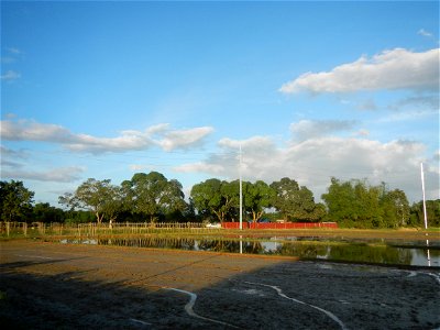 Paddy fields and vegetable (Capsicum annuum var. longum, Okra, Momordica charantia and Vigna unguiculata subsp. sesquipedalis) plantations in Upig - Bagong Barrio, San Ildefonso, Bulacan Barangays Upi