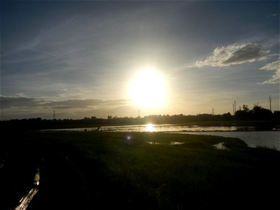 Paddy fields and vegetable (Capsicum annuum var. longum, Okra, Momordica charantia and Vigna unguiculata subsp. sesquipedalis) plantations in Upig - Bagong Barrio, San Ildefonso, Bulacan Barangays Upi