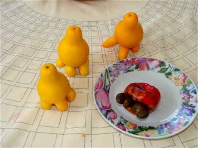 Fruto y semilla doble de merey y frutos de uña de gato