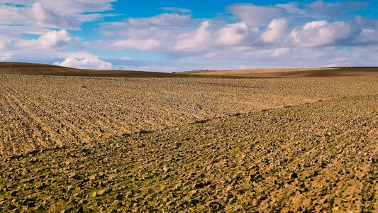 Horizon sky agriculture