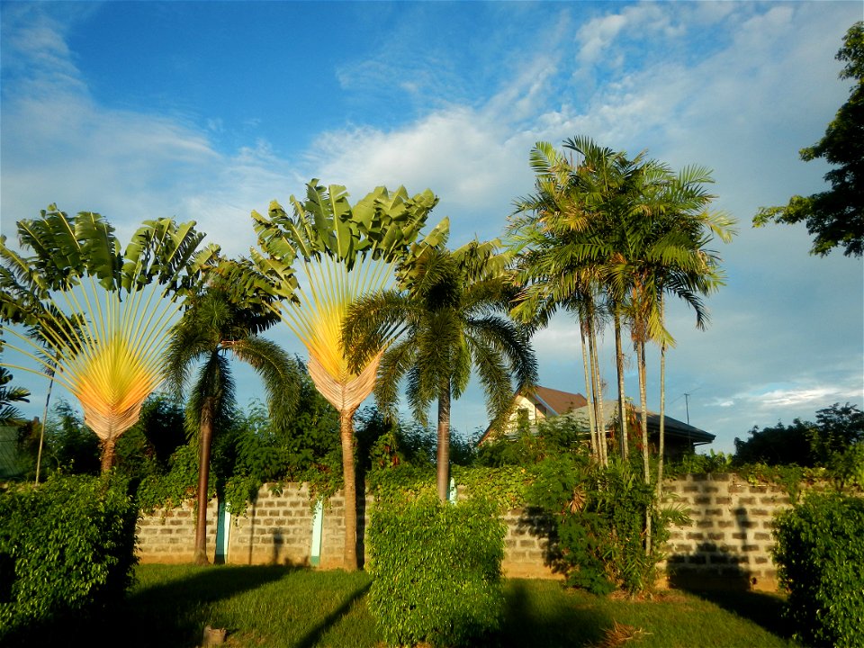 Paombong Memorial Park 14°50'8"N   120°46'56"E in Barangay 
San Isidro I 14°50'38"N 120°46'12"E Paombong Bulacan (Note: Judge Florentino Floro, the owner, to repeat, Donor Florentino Floro of all thes