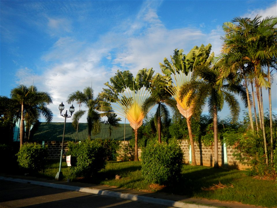 Paombong Memorial Park 14°50'8"N   120°46'56"E in Barangay 
San Isidro I 14°50'38"N 120°46'12"E Paombong Bulacan (Note: Judge Florentino Floro, the owner, to repeat, Donor Florentino Floro of all thes