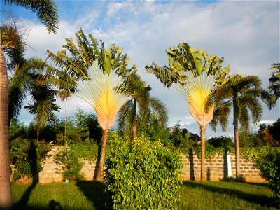 Paombong Memorial Park 14°50'8"N   120°46'56"E in Barangay 
San Isidro I 14°50'38"N 120°46'12"E Paombong Bulacan (Note: Judge Florentino Floro, the owner, to repeat, Donor Florentino Floro of all thes