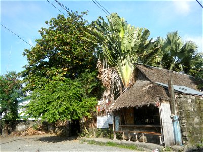 Malolos Historic Town Center and Heritage District of Barangay Santo Niño 14°50'33"N   120°48'38"E, Malolos City, Bulacan (Note: Judge Florentino Floro, the owner, to repeat, Donor Florentino Floro of