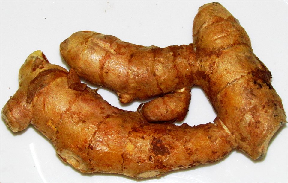 picture of curcuma amada
