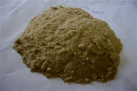 Black turmeric powder photo