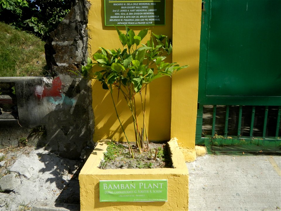 Bamban, Tarlac Museum, WWII Exhibit, No. 6 Rizal Avenue Old MacArthur Highway, Lourdes, Bamban, Tarlac; Macario W. Dela Cruz Memorial Hall, 2nd Lt. James H. Hart Memorial Library. 40th, 43rd & 38t