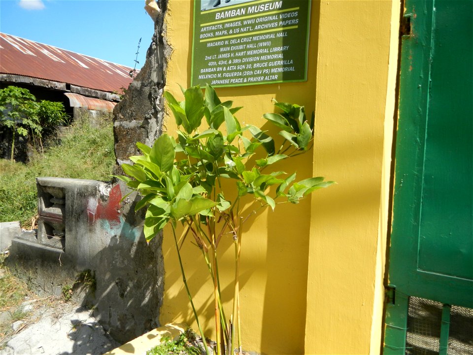Bamban, Tarlac Museum, WWII Exhibit, No. 6 Rizal Avenue Old MacArthur Highway, Lourdes, Bamban, Tarlac; Macario W. Dela Cruz Memorial Hall, 2nd Lt. James H. Hart Memorial Library. 40th, 43rd & 38t