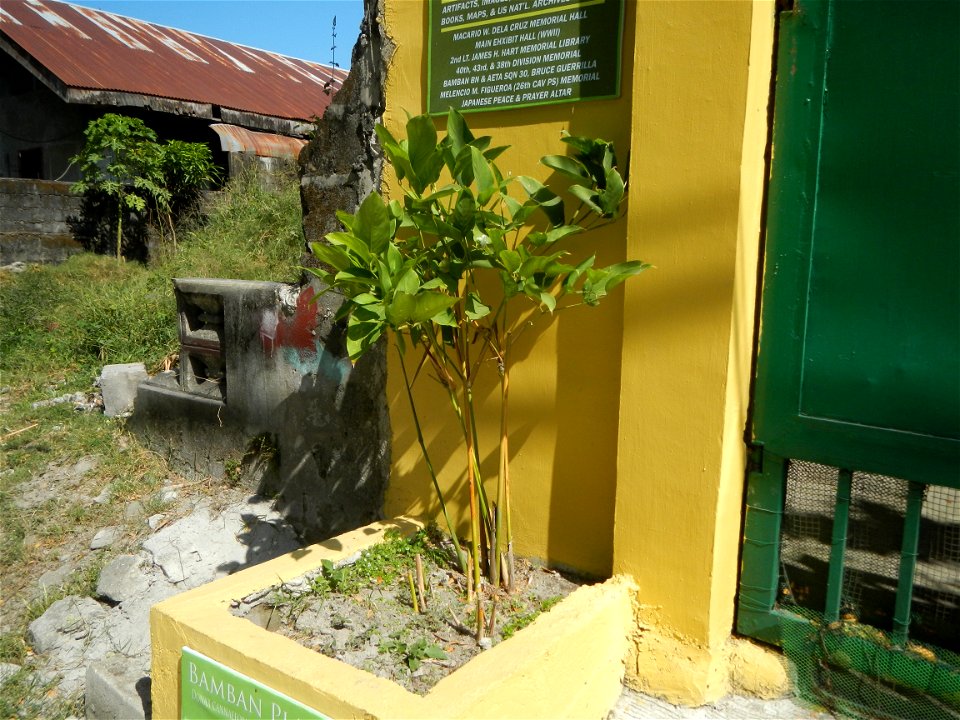Bamban, Tarlac Museum, WWII Exhibit, No. 6 Rizal Avenue Old MacArthur Highway, Lourdes, Bamban, Tarlac; Macario W. Dela Cruz Memorial Hall, 2nd Lt. James H. Hart Memorial Library. 40th, 43rd & 38t