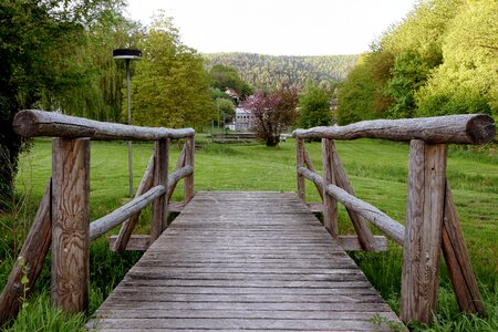 Bridge nature spring