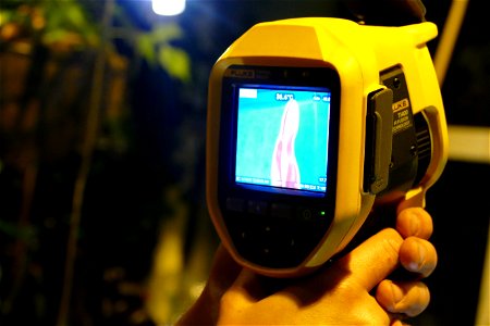 Remote measuring of the temperature of a blooming Amorphophallus titanium at University of Warsaw Botanic Garden 2021-06-14