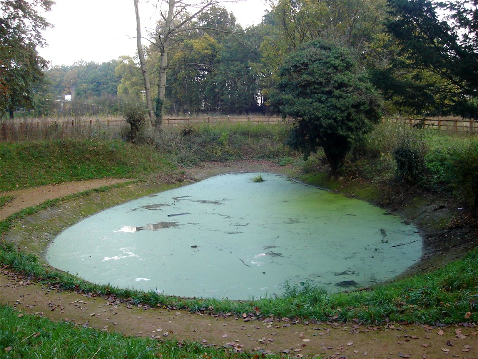 The Victorian brick lined pond is located at the western edge of Catton Park. The pond was renovated in 2008.