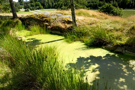 The old water cistern at Röe castle right by Röe gård in Röe, Lysekil Municipality, Sweden. The water in the cistern is covered with duckweed (Lemna minor). The site has an excellent view over the lan photo