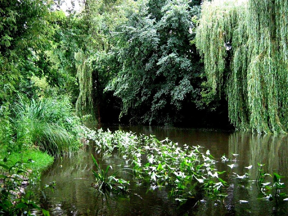 Die Nuthe an der Nuthebrücke in der Friedrich-Engels-Straße in Potsdam