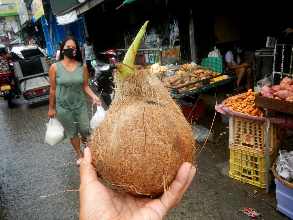 Poblacion, Baliuag, Bulacan during Timeline of the 2020 coronavirus pandemic in the Philippines  2020 coronavirus pandemic in the Philippines Bayanihan to Heal as One Act (RA 11469) Bayanihan Act of 2