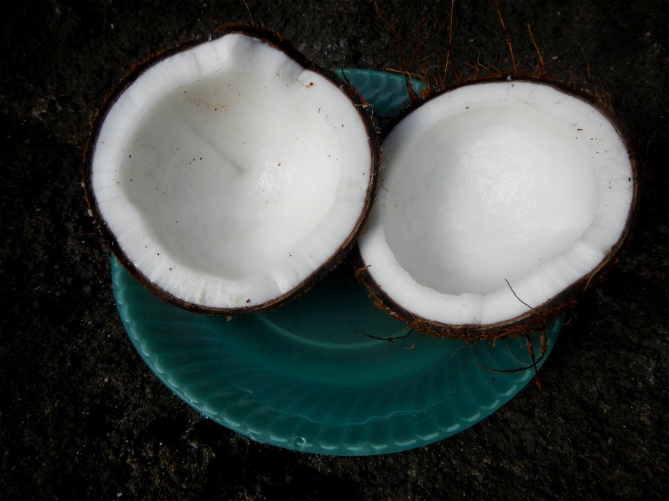 List of Philippine dishes Cuisine of Bulacan Foods Fruits photos taken in Barangay Poblacion 14°57'17"N 120°54'2"E Baliuag, Bulacan, Bulacan province (Note: Judge Florentino Floro, the owner, to repea
