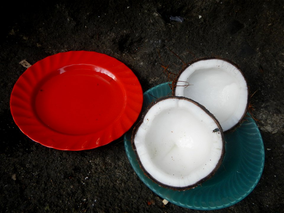 List of Philippine dishes Cuisine of Bulacan Foods Fruits photos taken in Barangay Poblacion 14°57'17"N 120°54'2"E Baliuag, Bulacan, Bulacan province (Note: Judge Florentino Floro, the owner, to repea