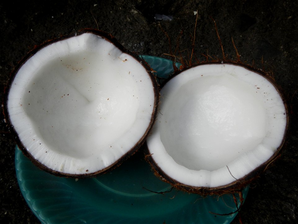List of Philippine dishes Cuisine of Bulacan Foods Fruits photos taken in Barangay Poblacion 14°57'17"N 120°54'2"E Baliuag, Bulacan, Bulacan province (Note: Judge Florentino Floro, the owner, to repea