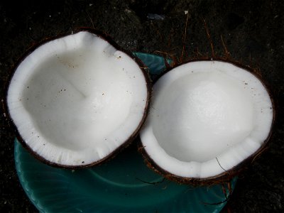 List of Philippine dishes Cuisine of Bulacan Foods Fruits photos taken in Barangay Poblacion 14°57'17"N 120°54'2"E Baliuag, Bulacan, Bulacan province (Note: Judge Florentino Floro, the owner, to repea