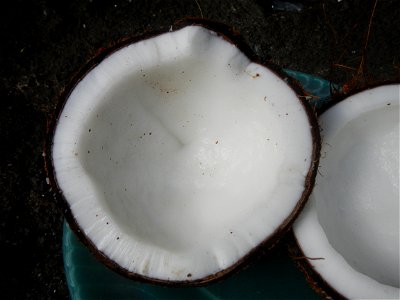 List of Philippine dishes Cuisine of Bulacan Foods Fruits photos taken in Barangay Poblacion 14°57'17"N 120°54'2"E Baliuag, Bulacan, Bulacan province (Note: Judge Florentino Floro, the owner, to repea