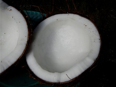 List of Philippine dishes Cuisine of Bulacan Foods Fruits photos taken in Barangay Poblacion 14°57'17"N 120°54'2"E Baliuag, Bulacan, Bulacan province (Note: Judge Florentino Floro, the owner, to repea