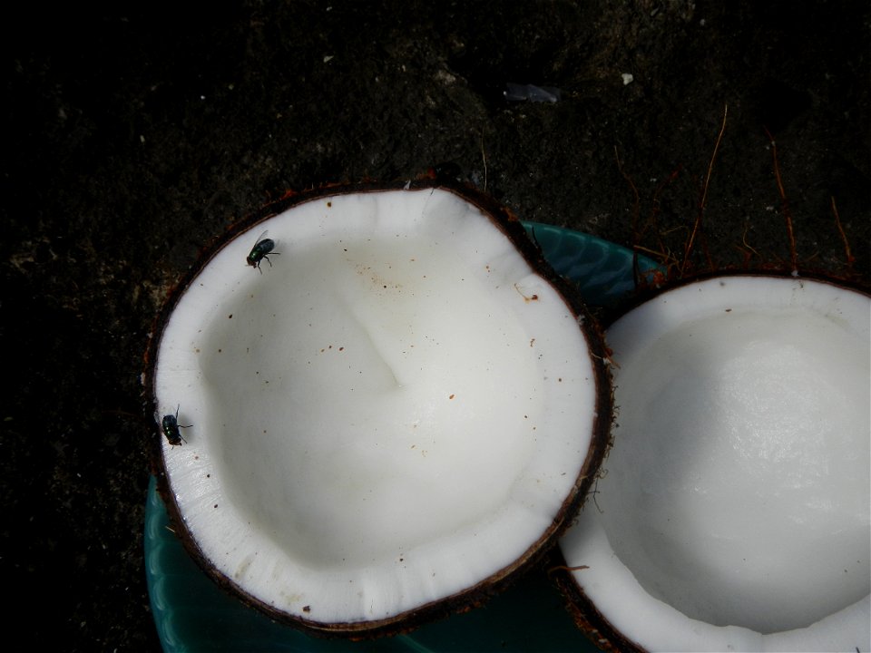 List of Philippine dishes Cuisine of Bulacan Foods Fruits photos taken in Barangay Poblacion 14°57'17"N 120°54'2"E Baliuag, Bulacan, Bulacan province (Note: Judge Florentino Floro, the owner, to repea
