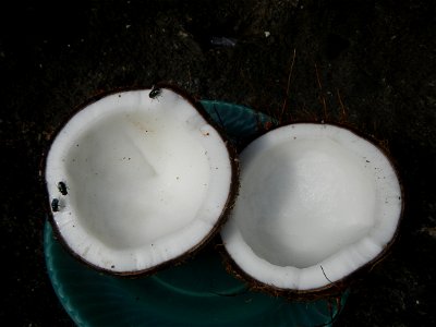 List of Philippine dishes Cuisine of Bulacan Foods Fruits photos taken in Barangay Poblacion 14°57'17"N 120°54'2"E Baliuag, Bulacan, Bulacan province (Note: Judge Florentino Floro, the owner, to repea