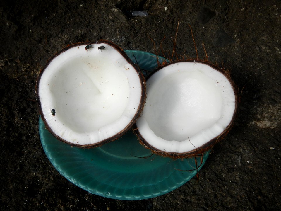 List of Philippine dishes Cuisine of Bulacan Foods Fruits photos taken in Barangay Poblacion 14°57'17"N 120°54'2"E Baliuag, Bulacan, Bulacan province (Note: Judge Florentino Floro, the owner, to repea
