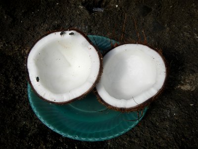 List of Philippine dishes Cuisine of Bulacan Foods Fruits photos taken in Barangay Poblacion 14°57'17"N 120°54'2"E Baliuag, Bulacan, Bulacan province (Note: Judge Florentino Floro, the owner, to repea