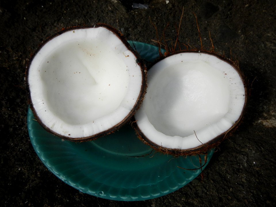 List of Philippine dishes Cuisine of Bulacan Foods Fruits photos taken in Barangay Poblacion 14°57'17"N 120°54'2"E Baliuag, Bulacan, Bulacan province (Note: Judge Florentino Floro, the owner, to repea