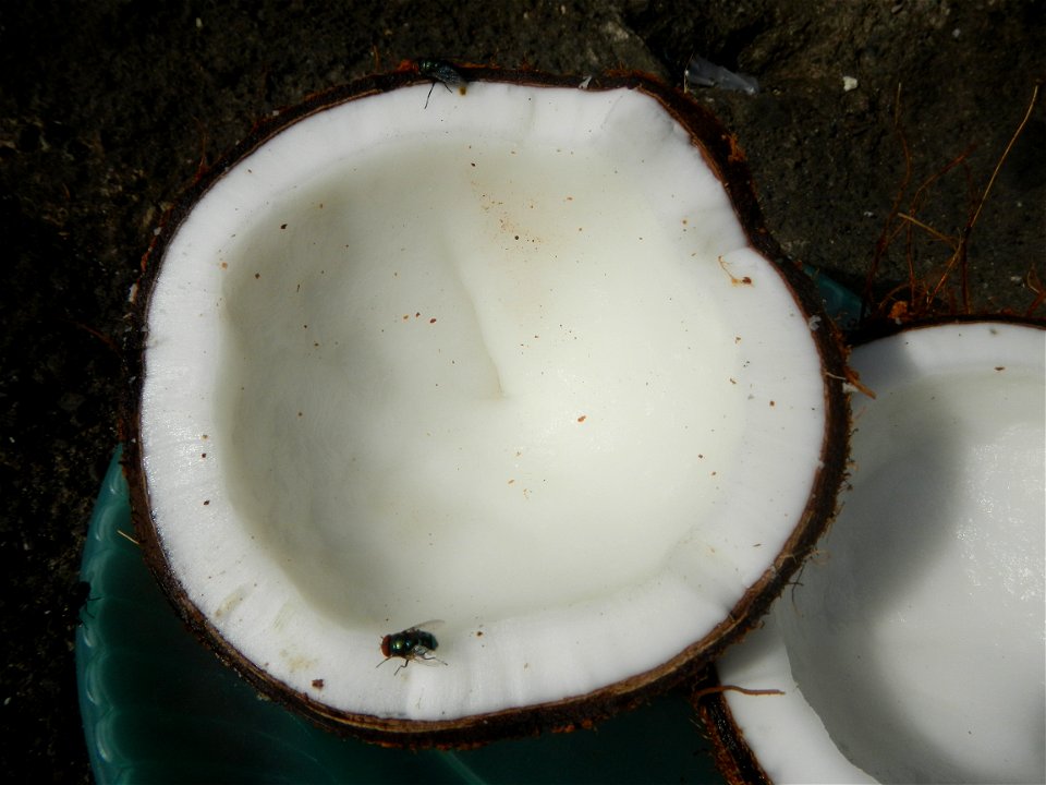 List of Philippine dishes Cuisine of Bulacan Foods Fruits photos taken in Barangay Poblacion 14°57'17"N 120°54'2"E Baliuag, Bulacan, Bulacan province (Note: Judge Florentino Floro, the owner, to repea