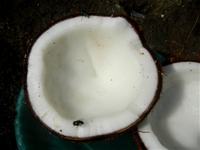 List of Philippine dishes Cuisine of Bulacan Foods Fruits photos taken in Barangay Poblacion 14°57'17"N 120°54'2"E Baliuag, Bulacan, Bulacan province (Note: Judge Florentino Floro, the owner, to repea